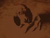 dog_3.jpg